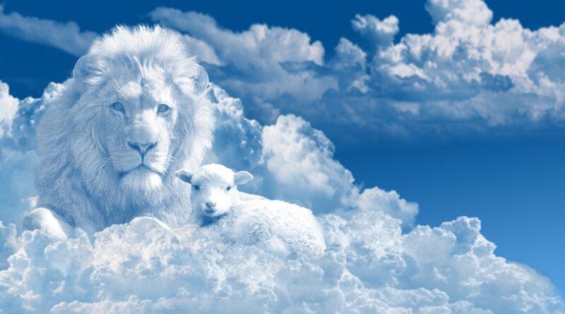 The wolf also shall dwell with the lamb