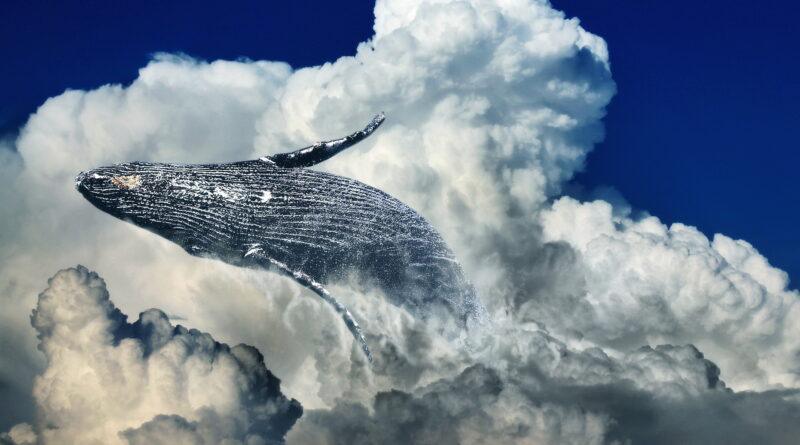 Jonah 2:1-10