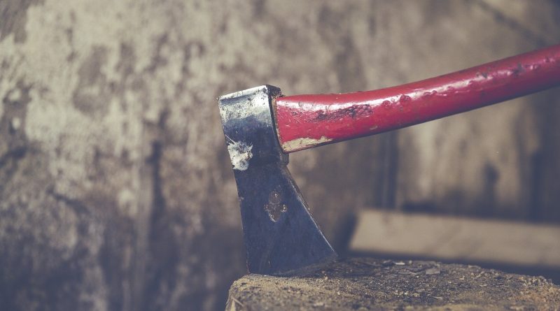 Study to shew thyself approved unto God, a workman that needeth not to be ashamed, rightly dividing the word of truth.