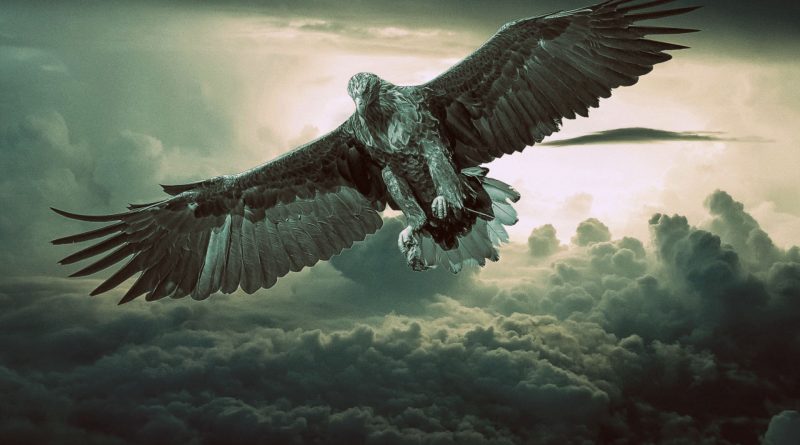 Though thou exalt thyself as the eagle, and though thou set thy nest among the stars, thence will I bring thee down, saith the Lord.