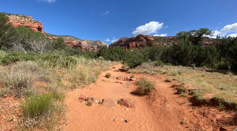 The voice of him that crieth in the wilderness, Prepare ye the way of the Lord, make straight in the desert a highway for our God.