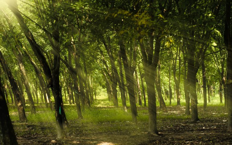 Beware of dogs, beware of evil workers, beware of the concision.