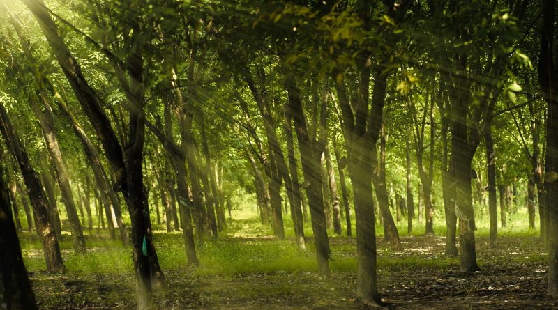 Beware of dogs, beware of evil workers, beware of the concision.