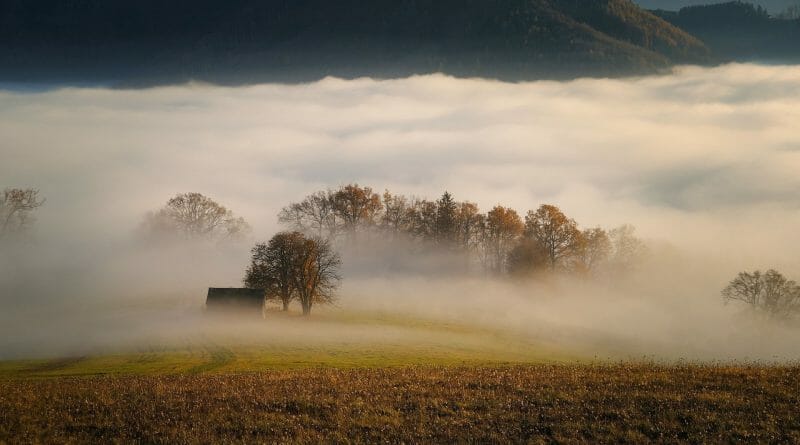 Luke 20:16 He shall come and destroy these husbandmen, and shall give the vineyard to others. And when they heard [it], they said, God forbid