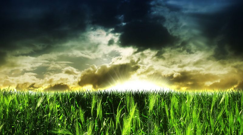 For, behold, in those days, and in that time, when I shall bring again the captivity of Judah and Jerusalem,