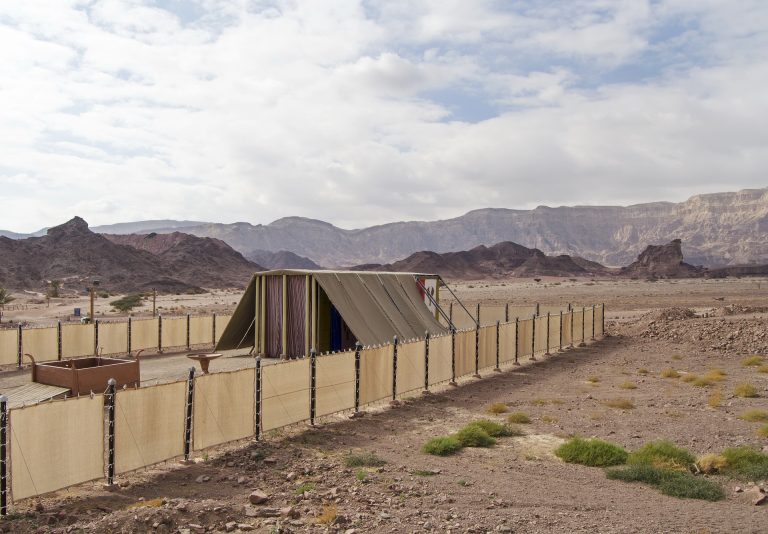 afraid of God, ark of God