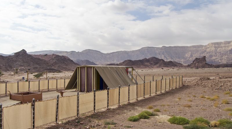 afraid of God, ark of God