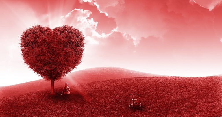 heart, red, field