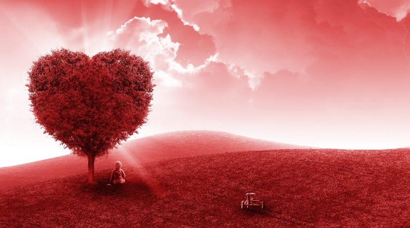 heart, red, field