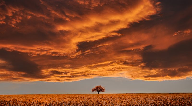 Lord alone, made heaven, heaven of heavens,