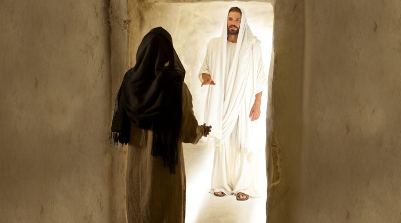 And when he thus had spoken,