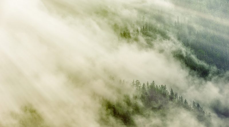 And the God that hath caused his name to dwell there destroy all kings and people,