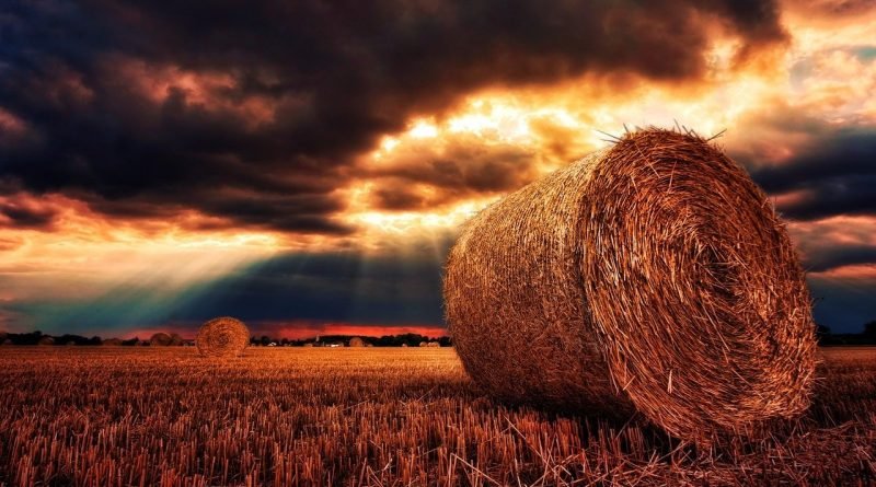 The husbandman that laboureth