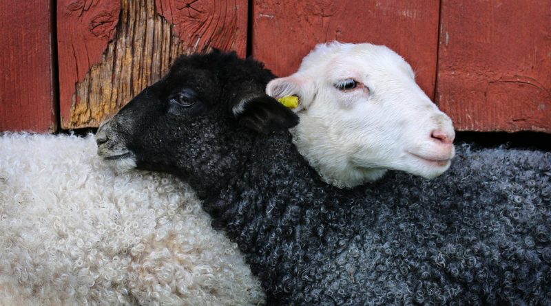 Saying with a loud voice, Worthy is the Lamb that was slain to receive power,