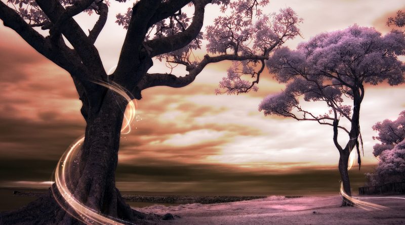 And the scripture, foreseeing that God would justify the heathen through faith,