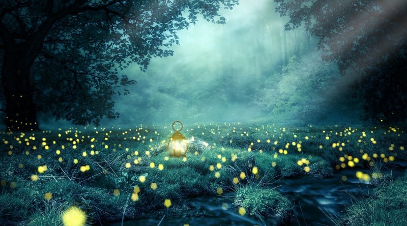 And Jesus, immediately knowing in himself that virtue had gone out of him,