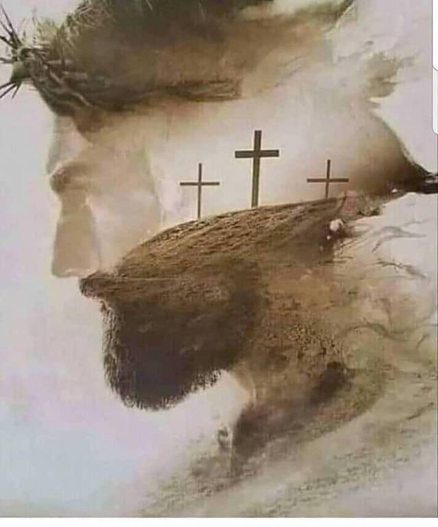 Wherefore also it is contained in the scripture, Behold,