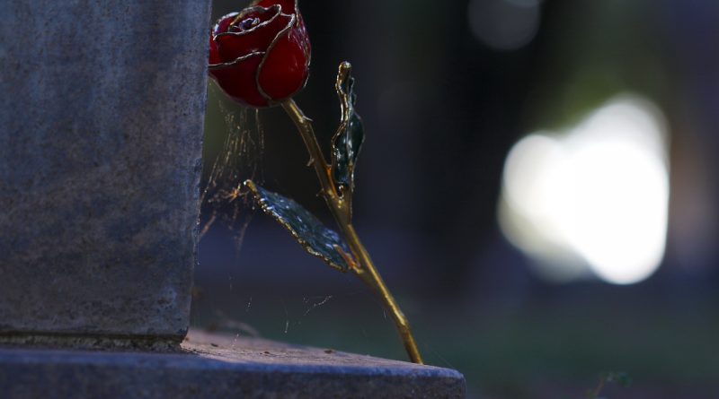 The world cannot hate you; but me it hateth,