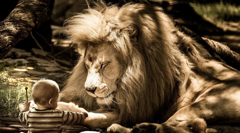 A new commandment I give unto you, That ye love one another