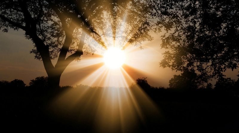 But is now made manifest by the appearing of our Saviour Jesus Christ,