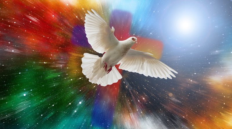 For whom he did foreknow, he also did predestinate to be conformed to the image of his Son,