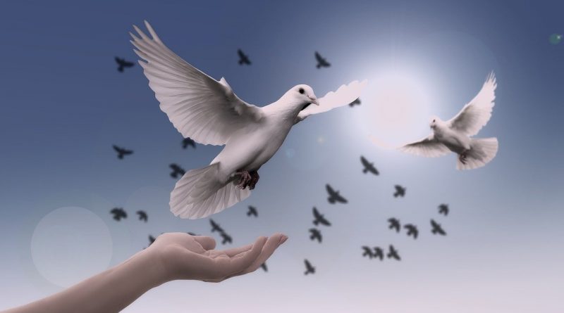 And the scripture, foreseeing that God would justify the heathen through faith,