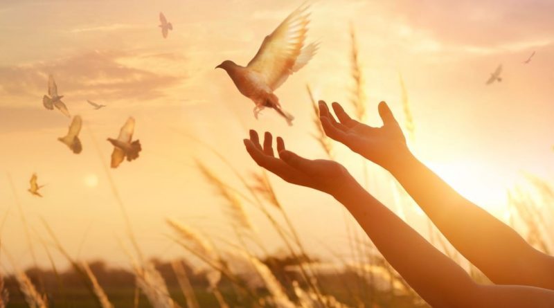 The grace of our Lord Jesus Christ be with you. Amen.