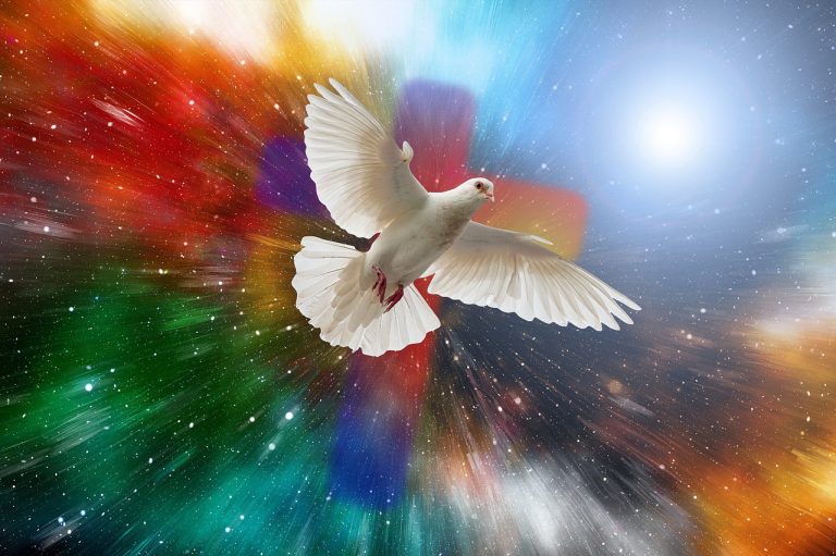 And above all things have fervent charity among yourselves: