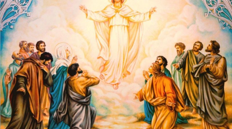 A little while, and ye shall not see me: and again,