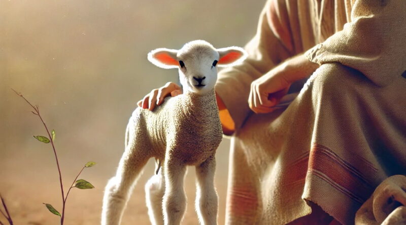   1 And if his oblation [be] a sacrifice of peace offering, if he offer [it] of the herd; whether [it be] a male or female, he shall offer it without blemish before the Lord.