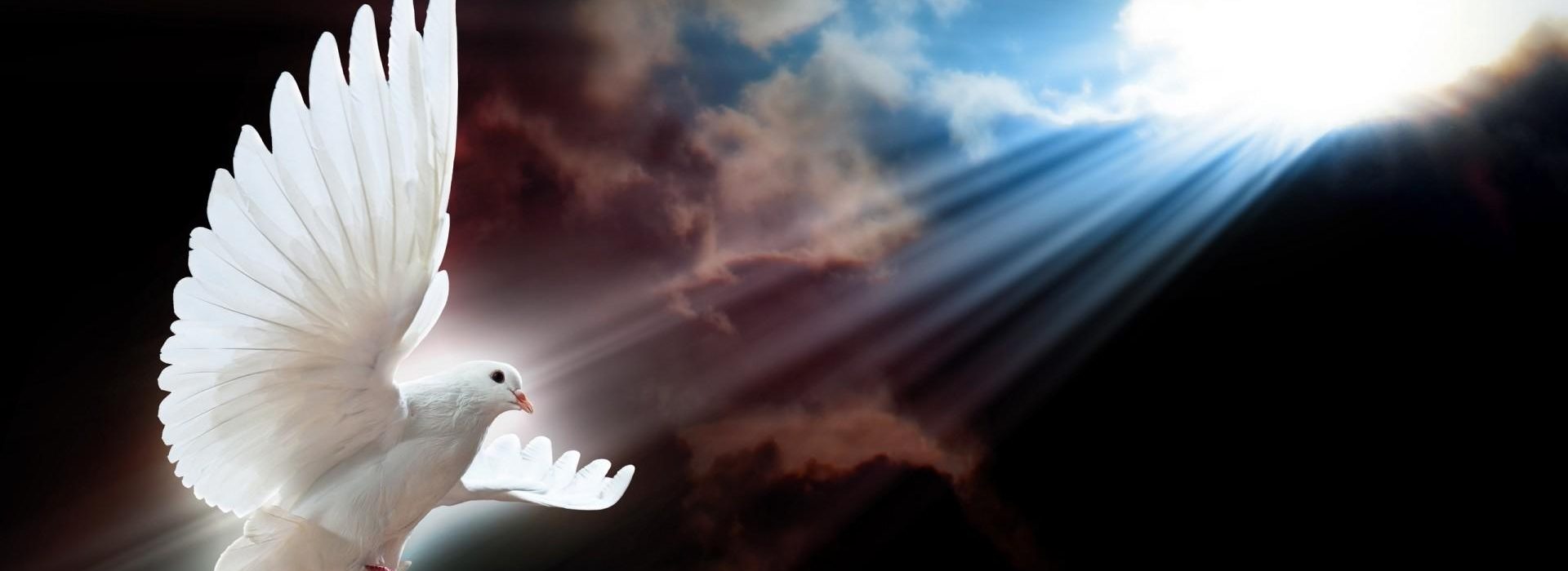 For God hath not given us the spirit of fear; but of power, and of love, and of a sound mind.
