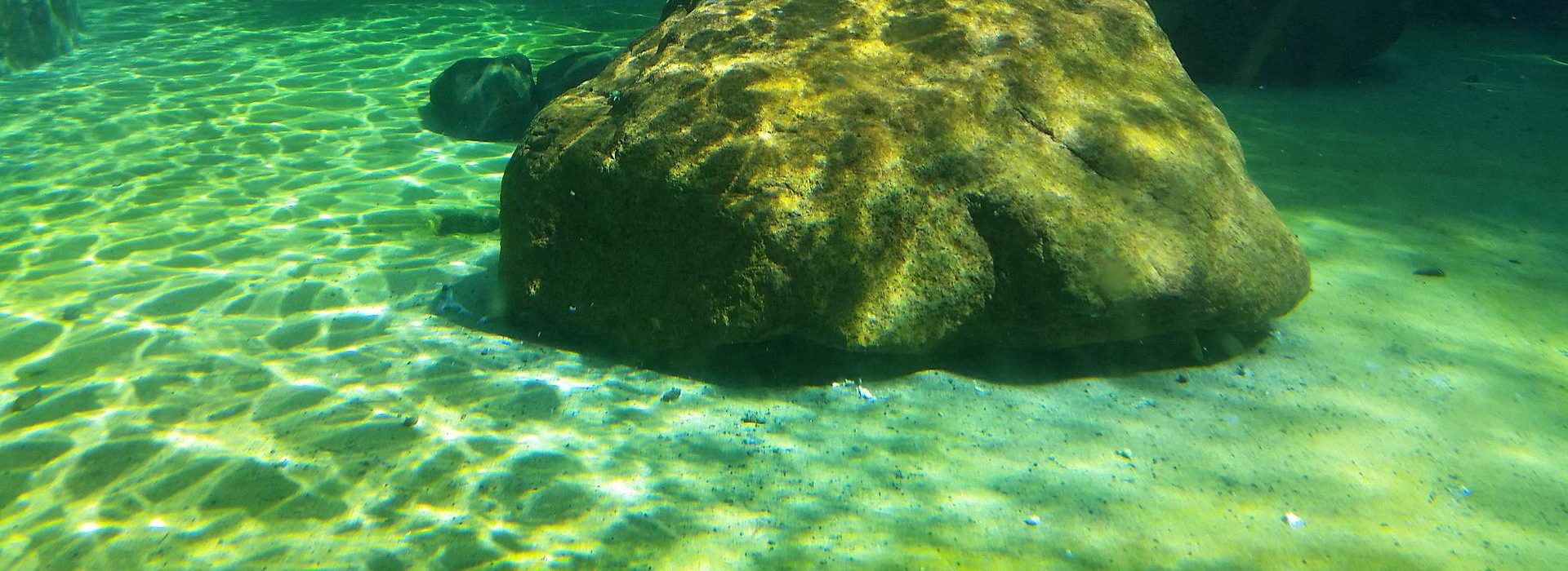 And though they hide themselves in the top of Carmel, I will search and take them out thence; and though they be hid from my sight in the bottom of the sea, thence will I command the serpent, and he shall bite them.