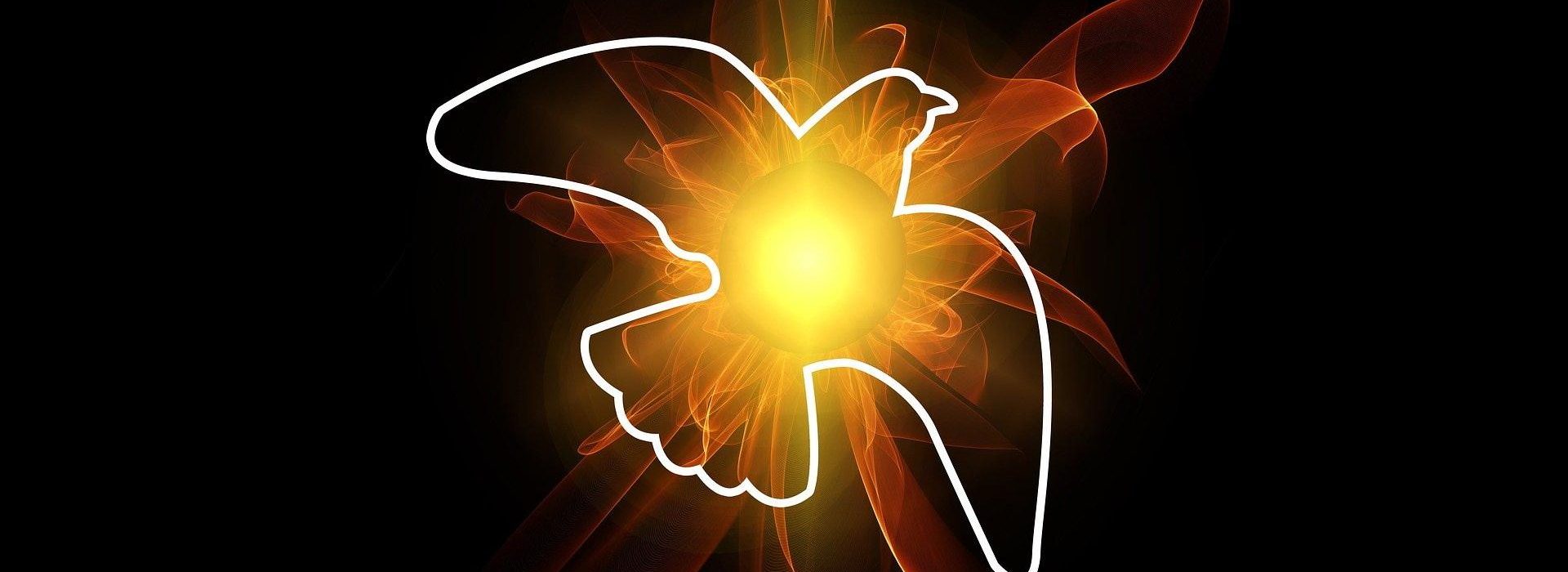 But if the Spirit of him that raised up Jesus from the dead dwell in you, he that raised up Christ from the dead shall also quicken your mortal bodies by his Spirit that dwelleth in you.