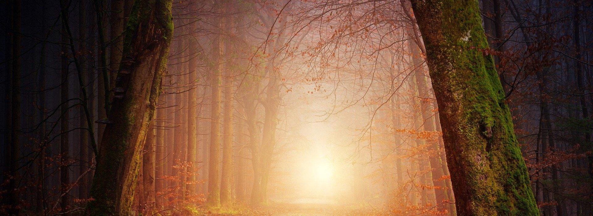 Teach me thy way, O Lord, and lead me in a plain path, because of mine enemies.