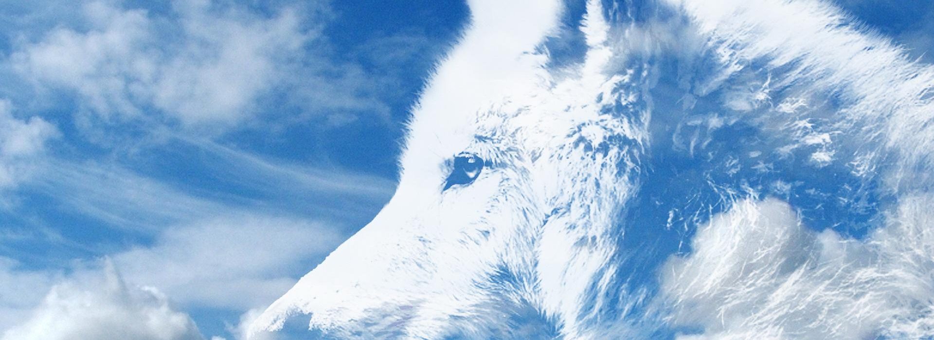 11:6 The wolf also shall dwell with the lamb, and the leopard shall lie down with the kid; and the calf and the young lion and the fatling together; and a little child shall lead them.