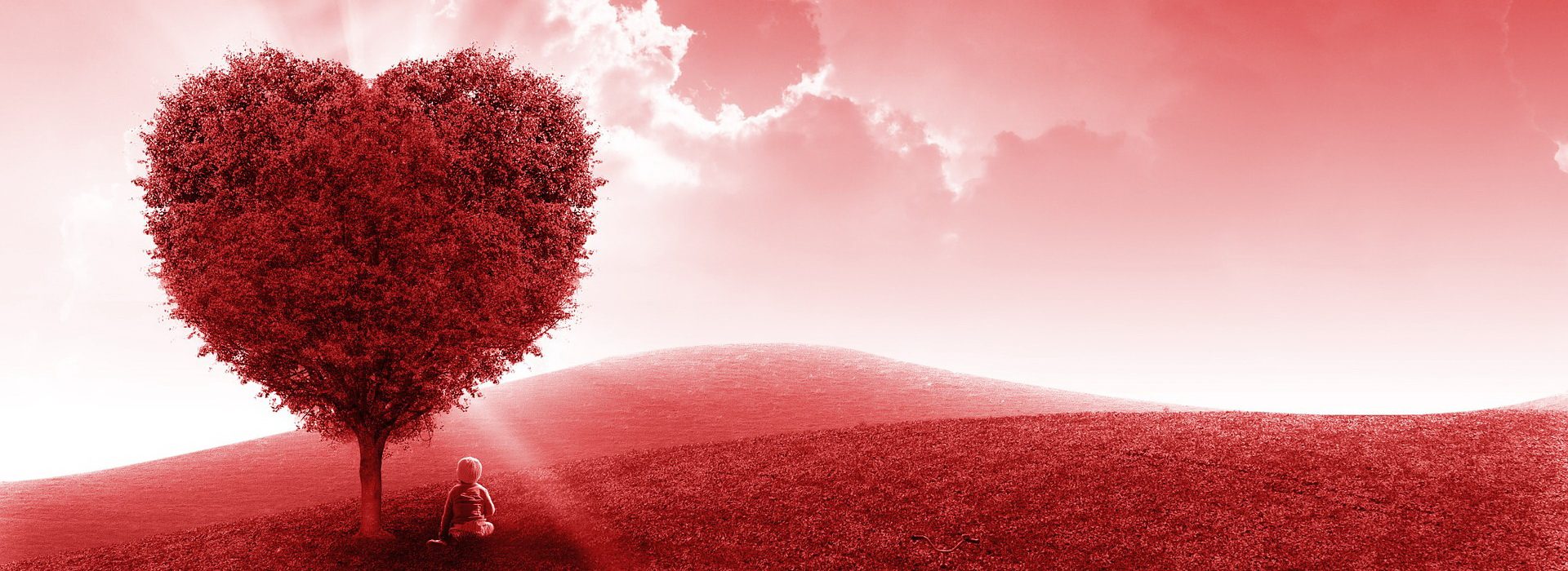 heart, red, field