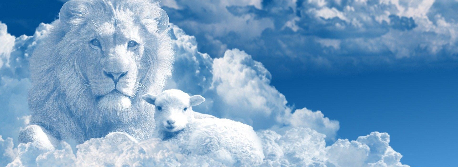 The wolf also shall dwell with the lamb