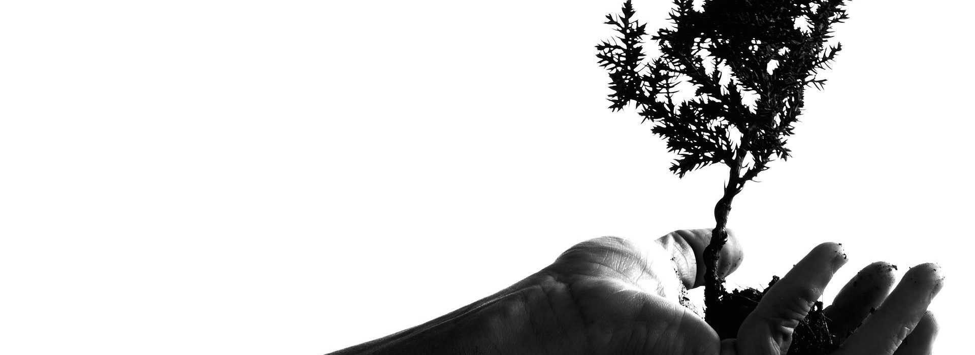Better [is] an handful [with] quietness, than both the hands full [with] travail and vexation of spirit.